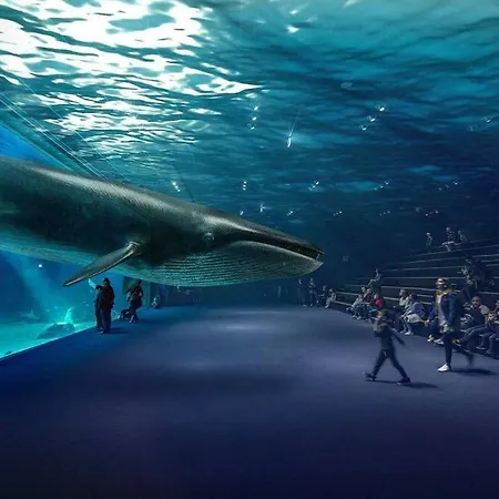 Semesterbostad Maison Bononia Boulogne-sur-Mer